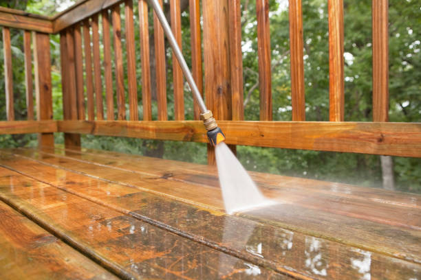 Best Pressure Washing Near Me  in St Augustine South, FL